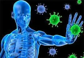 Best heavy metal detox supplement to boost the immune system