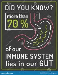 Detox Your Gut To Improve Your Immune System